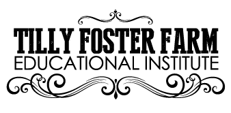tillyfostereducationalinstitutebksm
